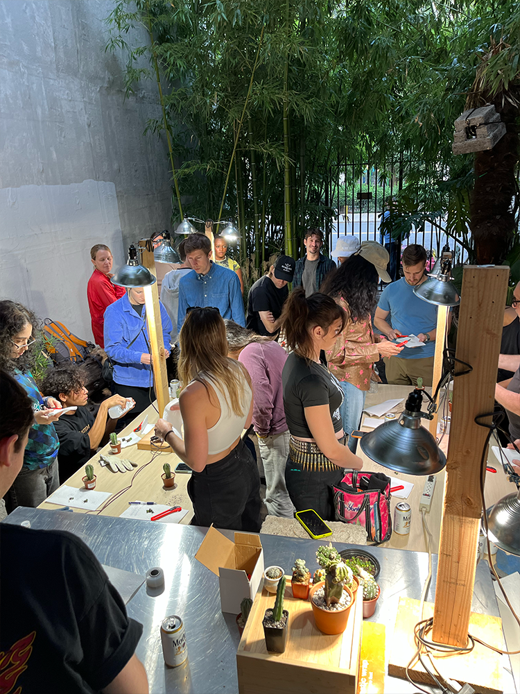 A decorative image from Usal Project