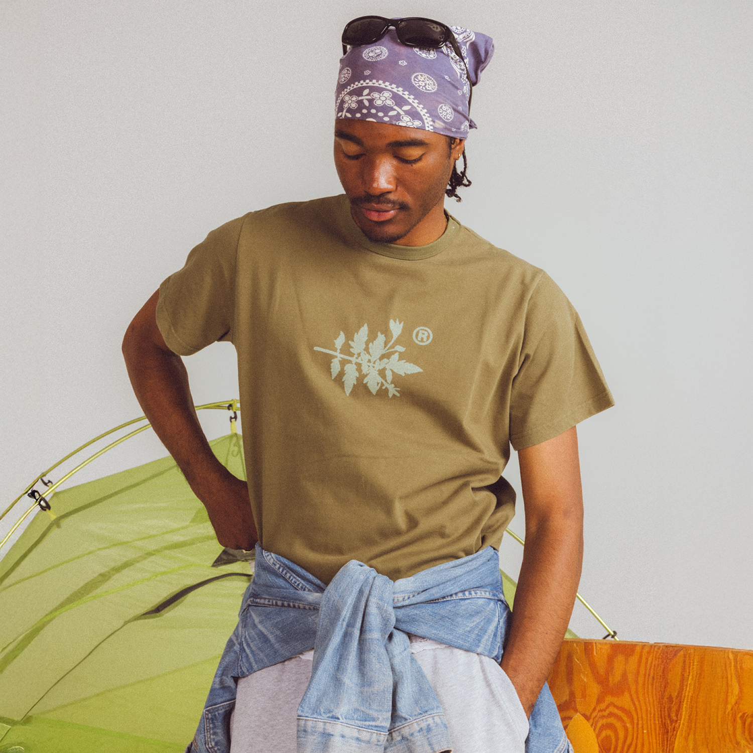 A decorative image from Usal Project