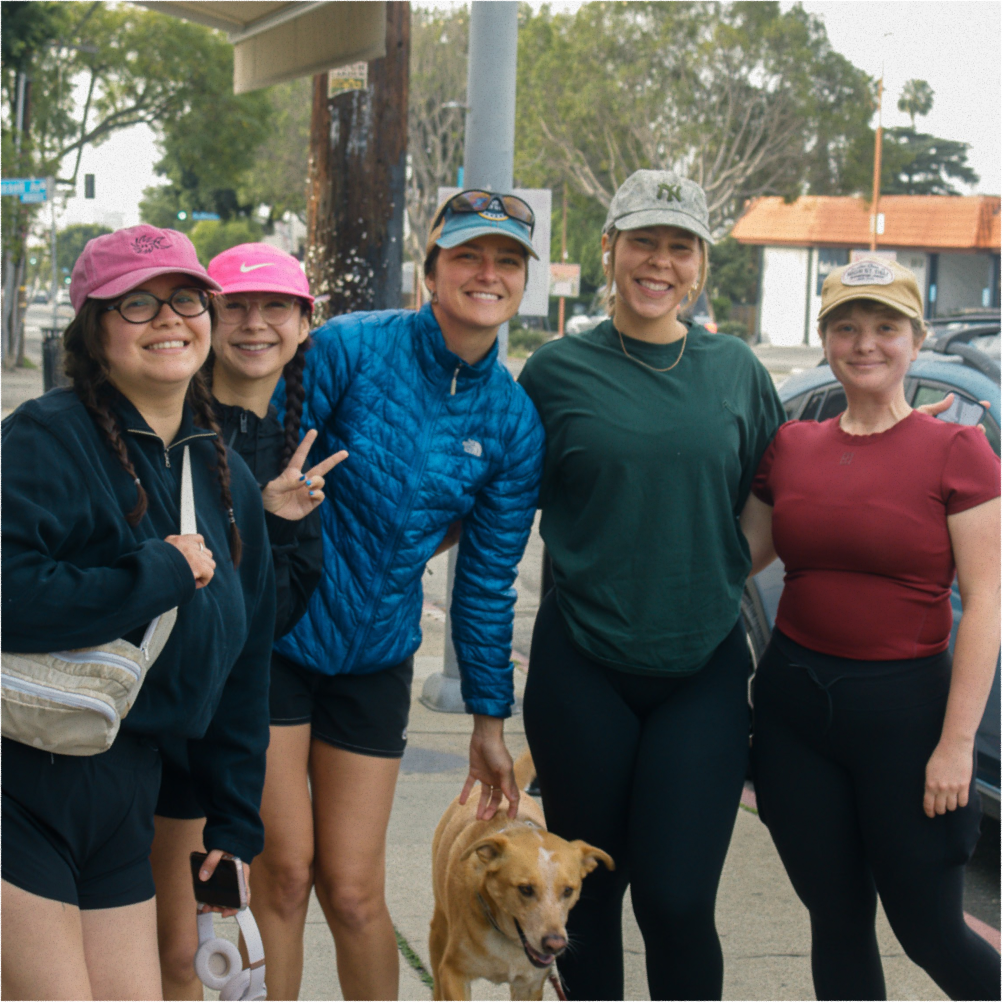 A decorative image from Usal Project