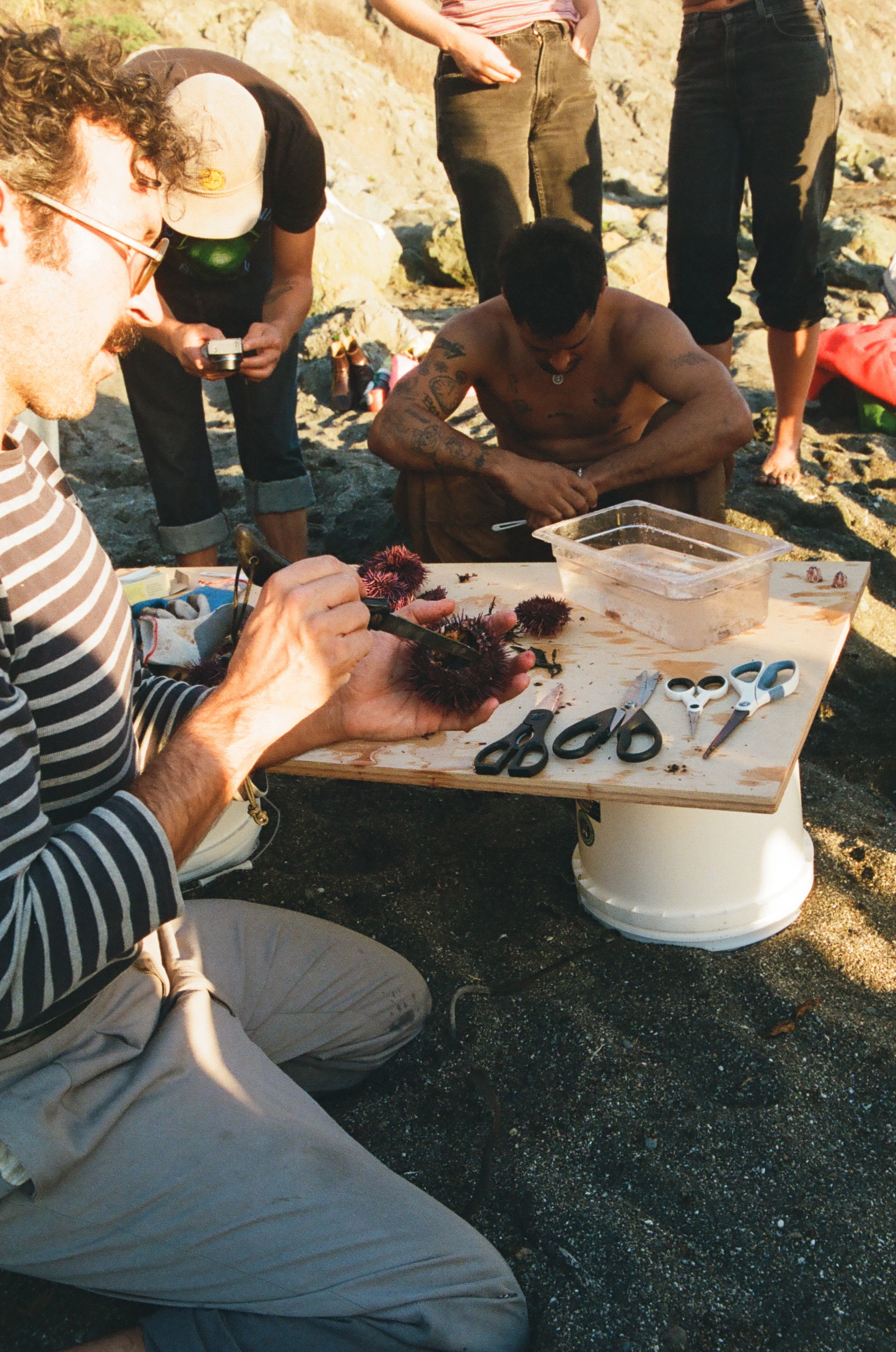 A decorative image from Usal Project