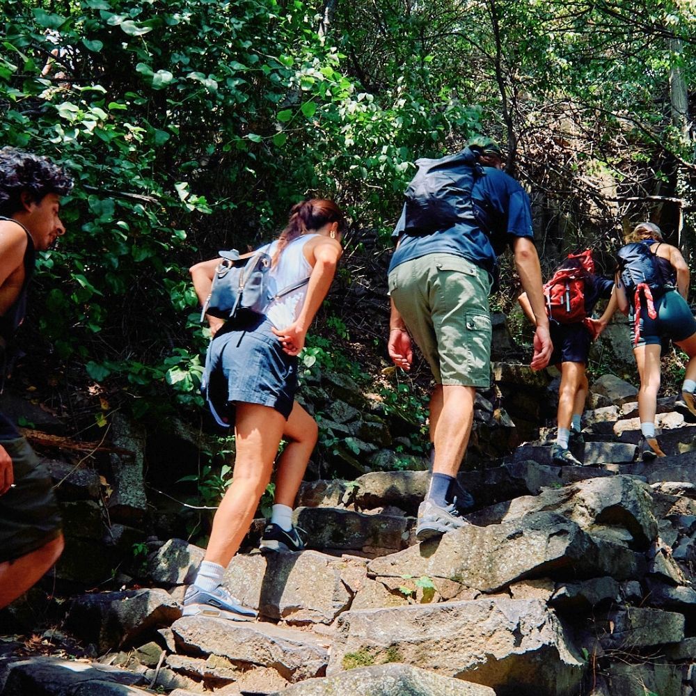 A decorative image from Usal Project