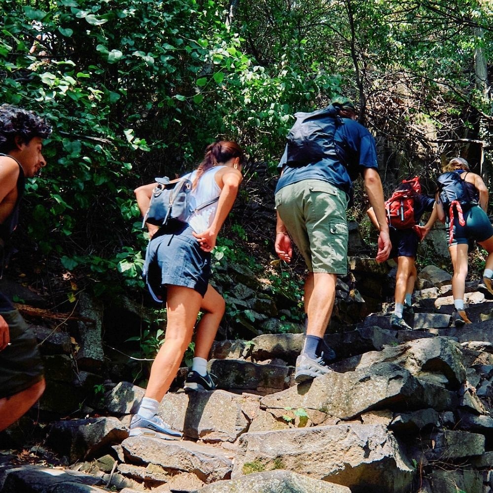 A decorative image from Usal Project