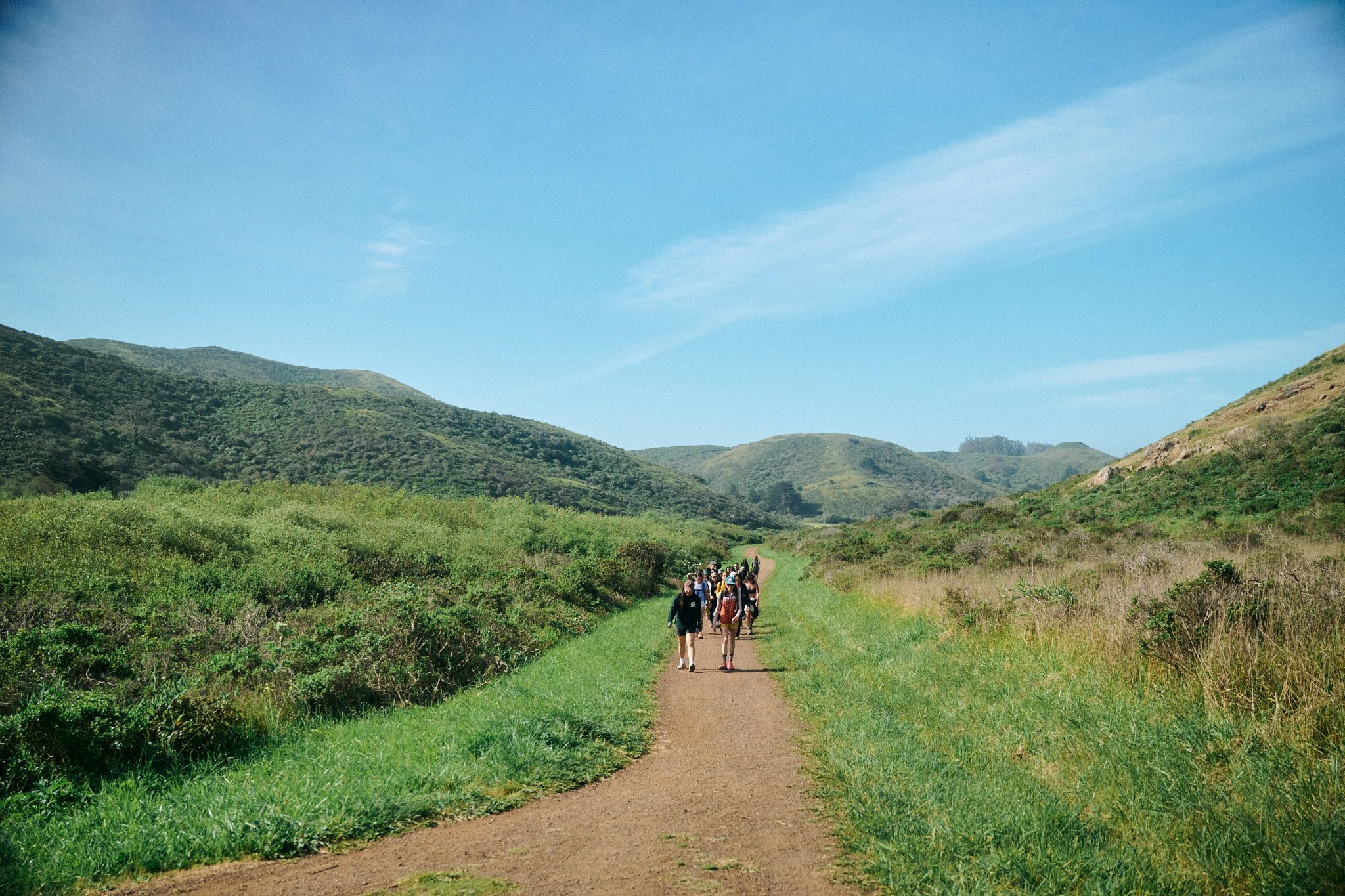 A decorative image from Usal Project