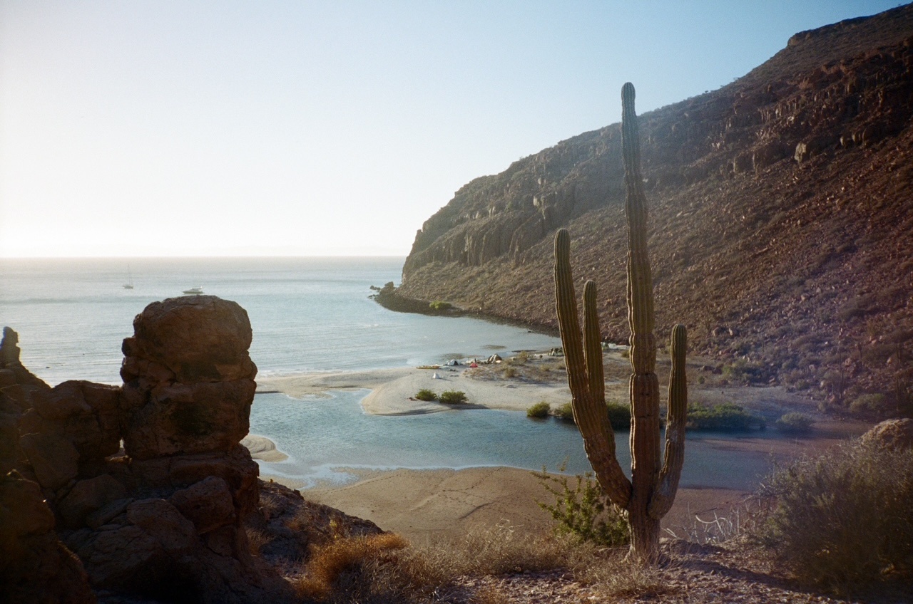 A decorative image from Usal Project