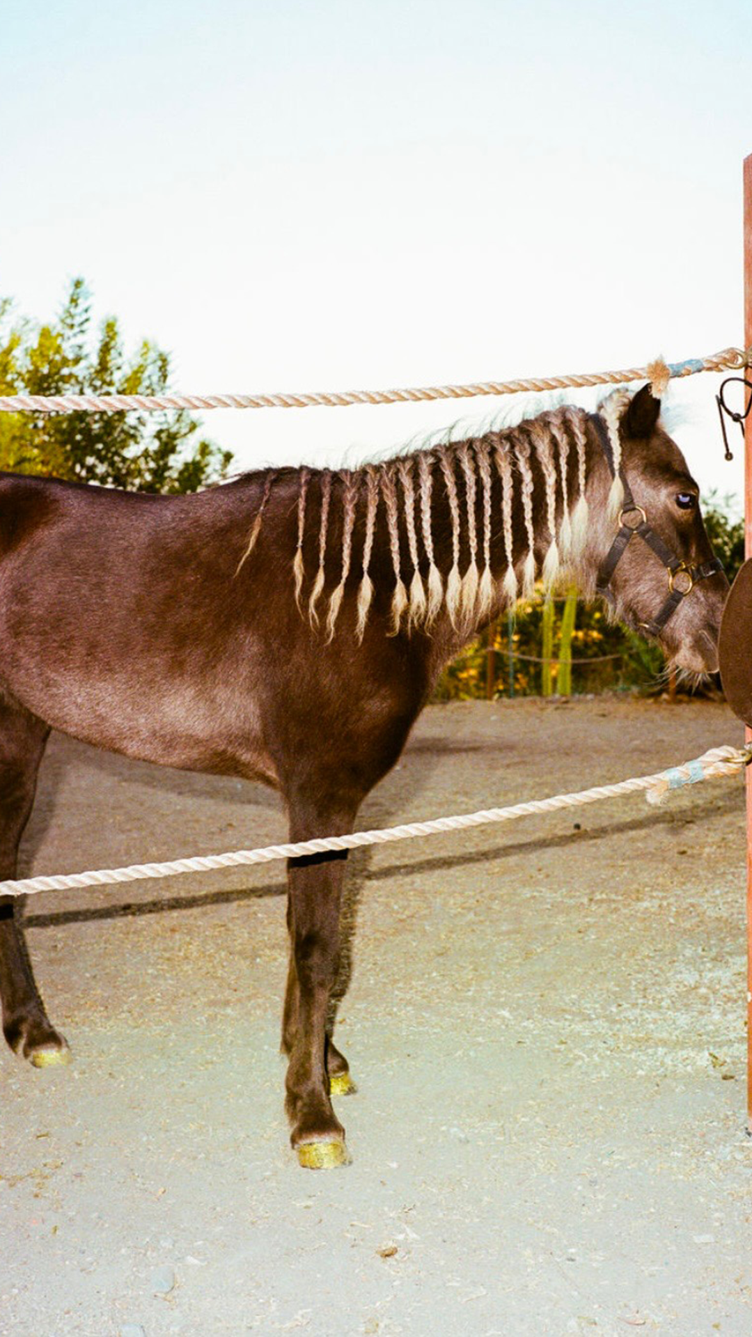 Hero Poster Mobile - A decorative image from Usal Project