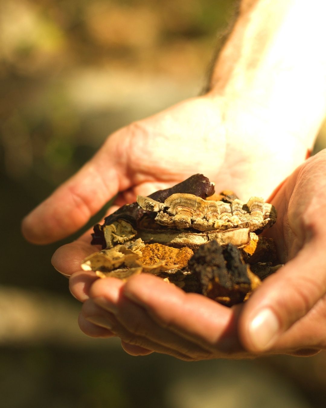 A decorative image from Usal Project