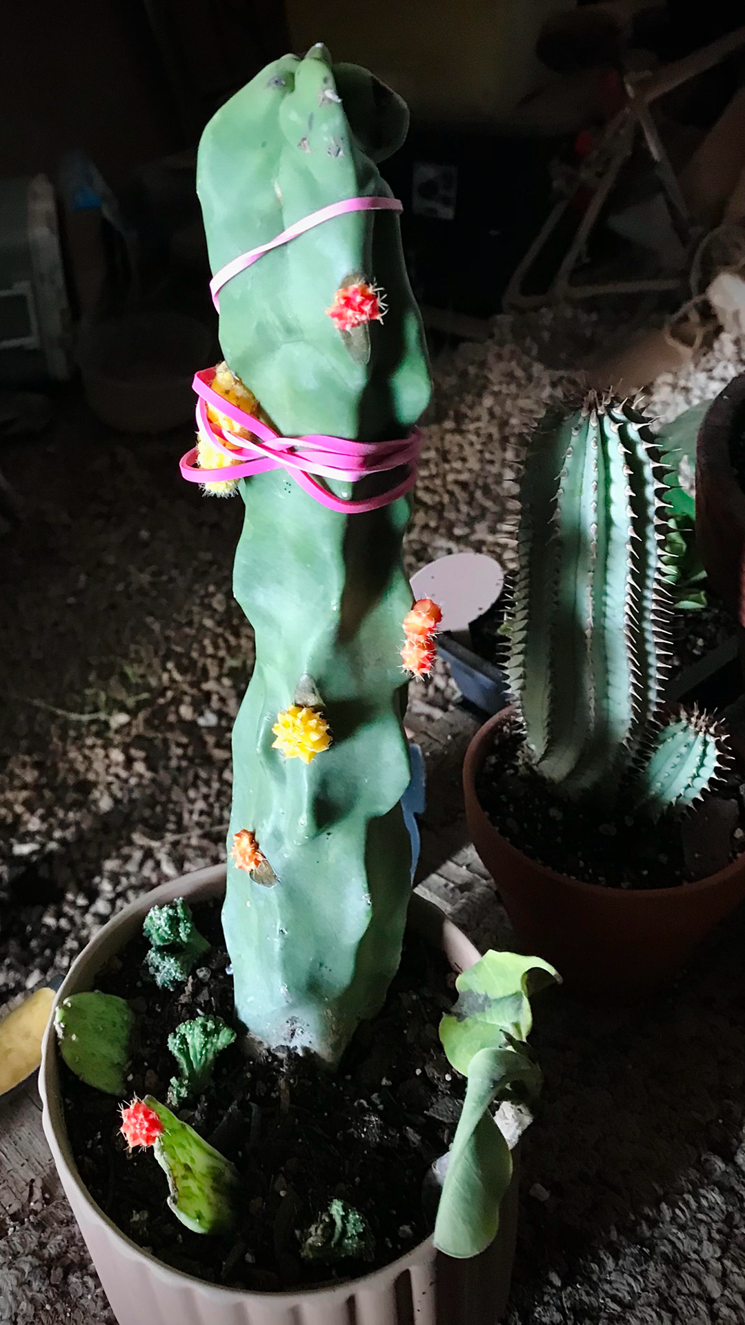 Hero Poster Mobile - A decorative image from Usal Project