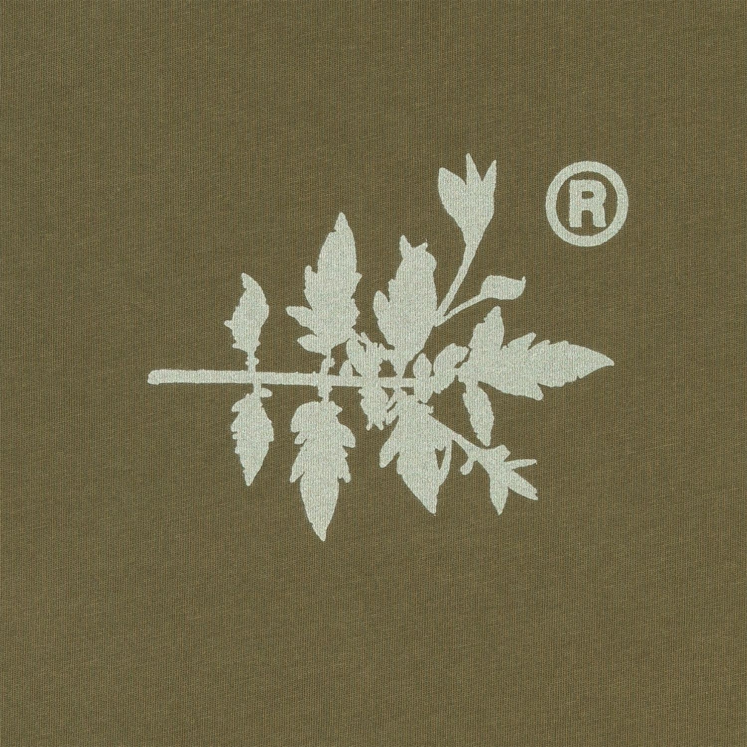 A decorative image from Usal Project