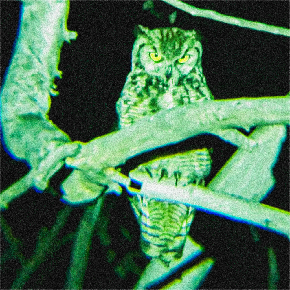 A decorative image from Usal Project