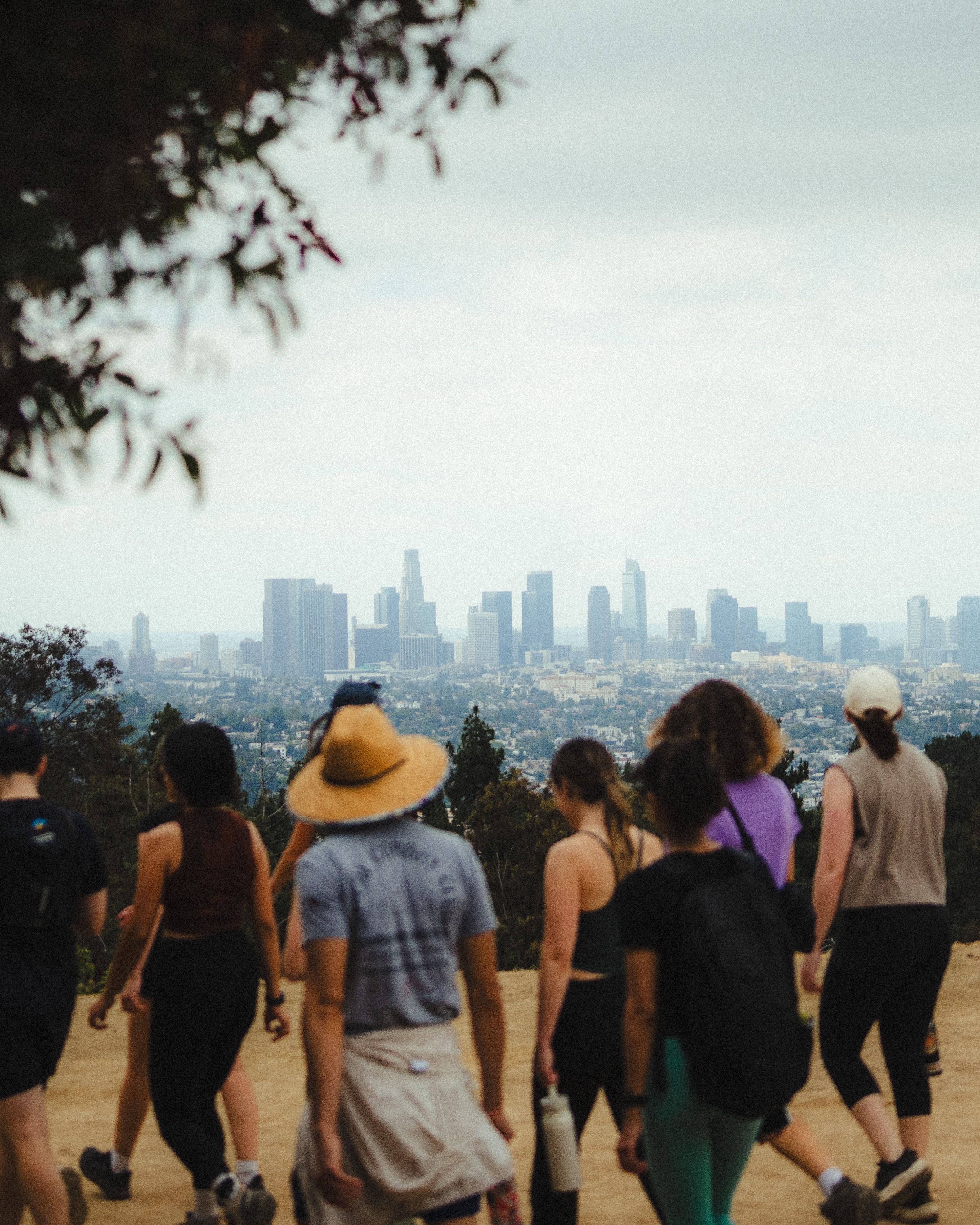 A decorative image from Usal Project