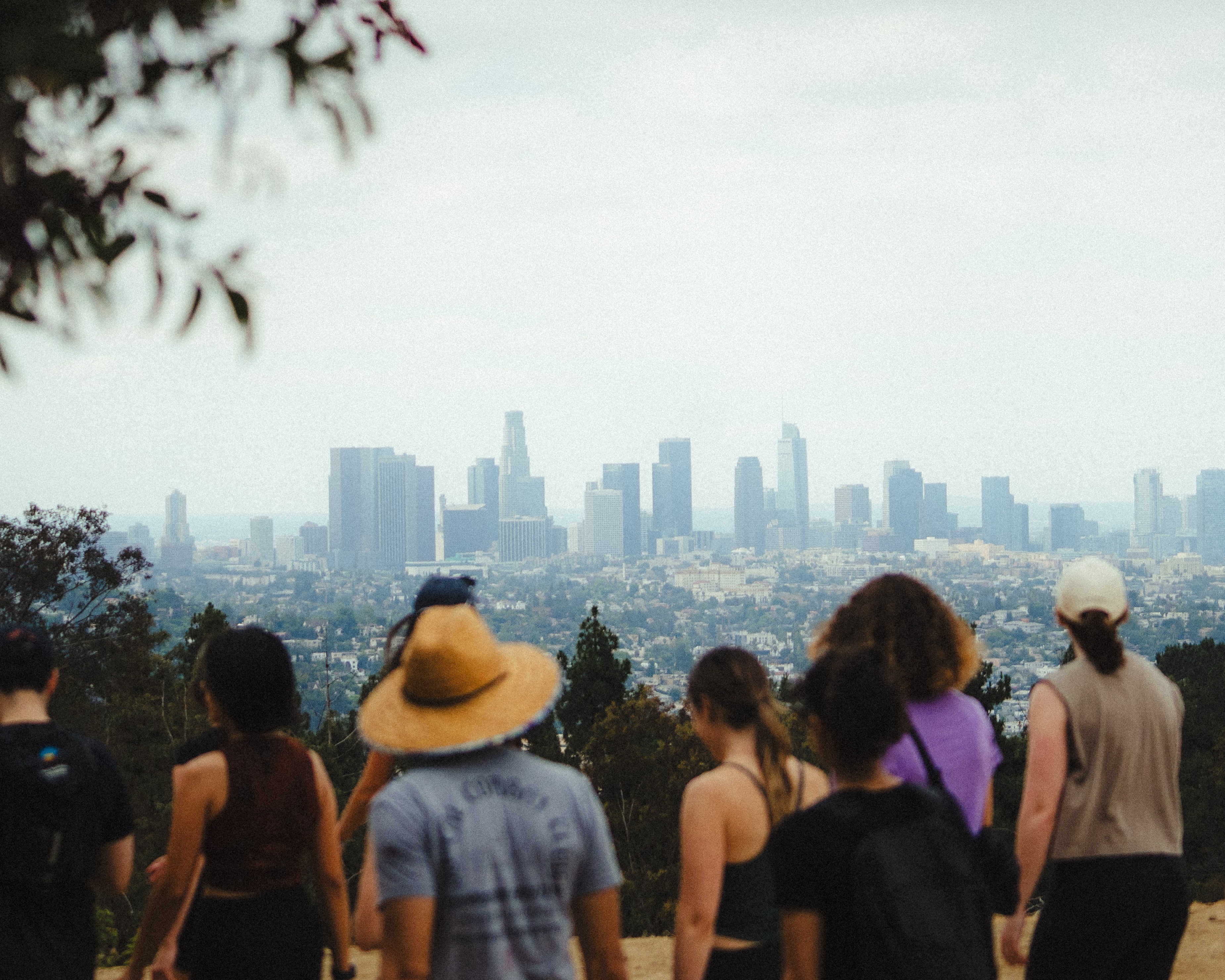 A decorative image from Usal Project