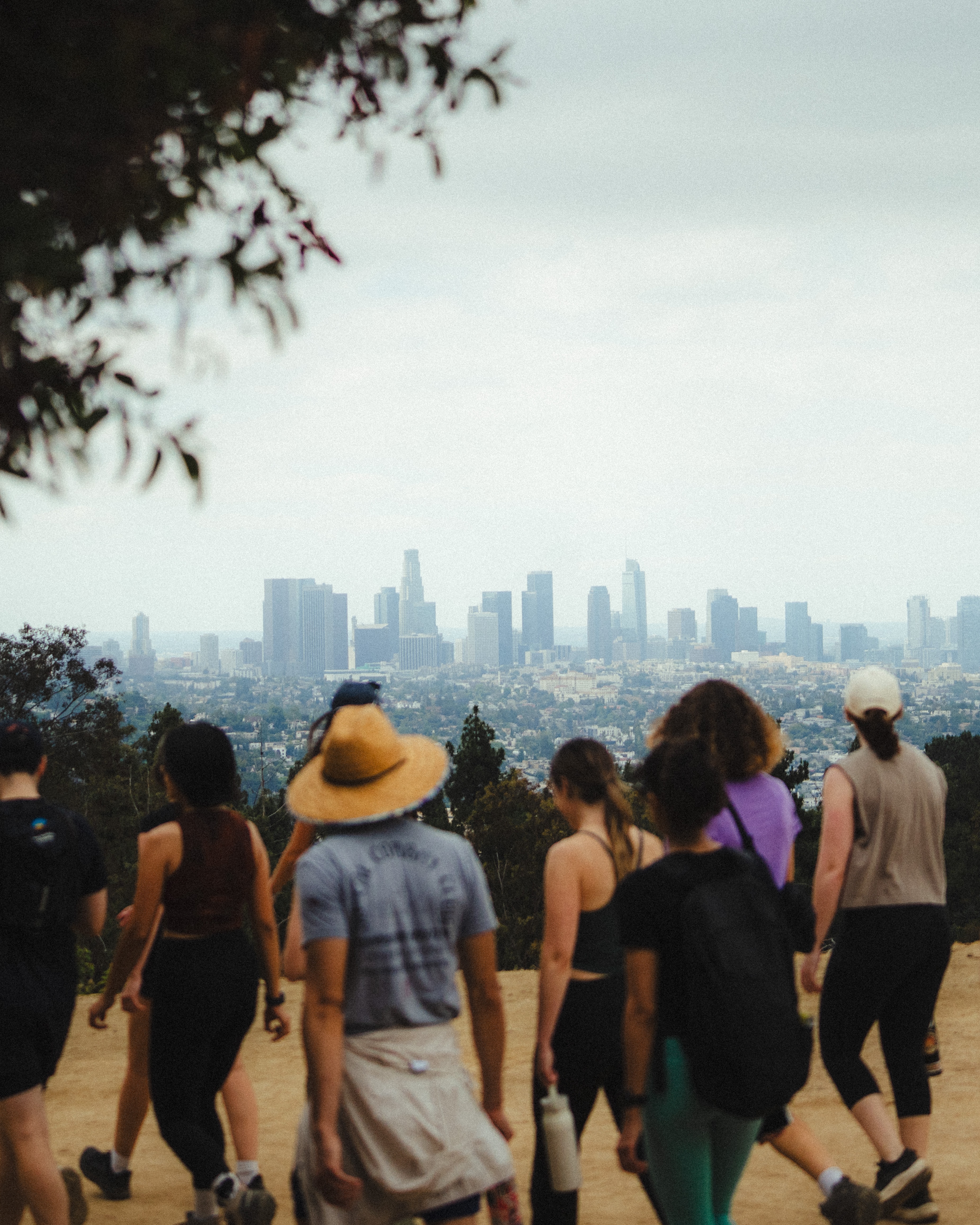 A decorative image from Usal Project