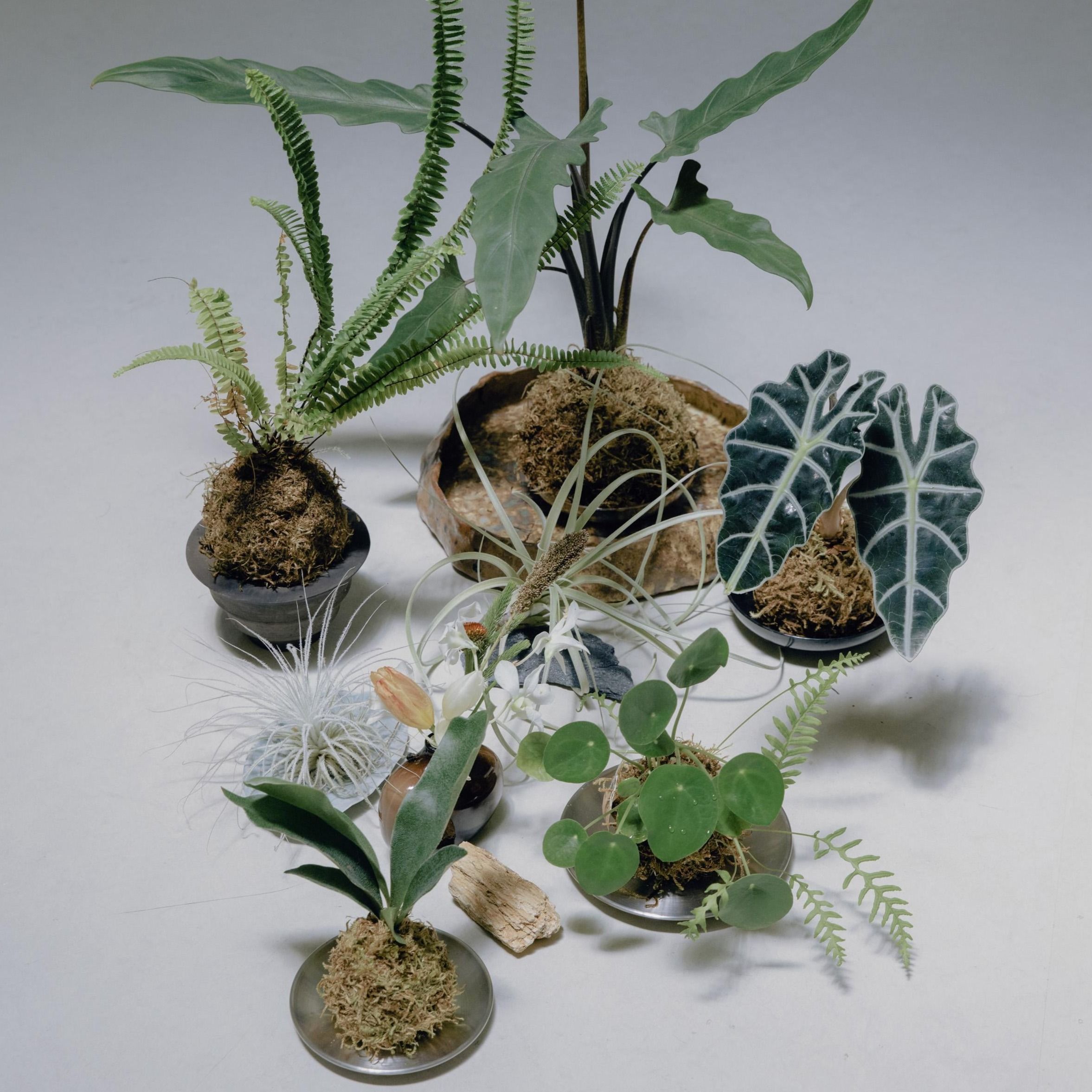 A decorative image from Usal Project