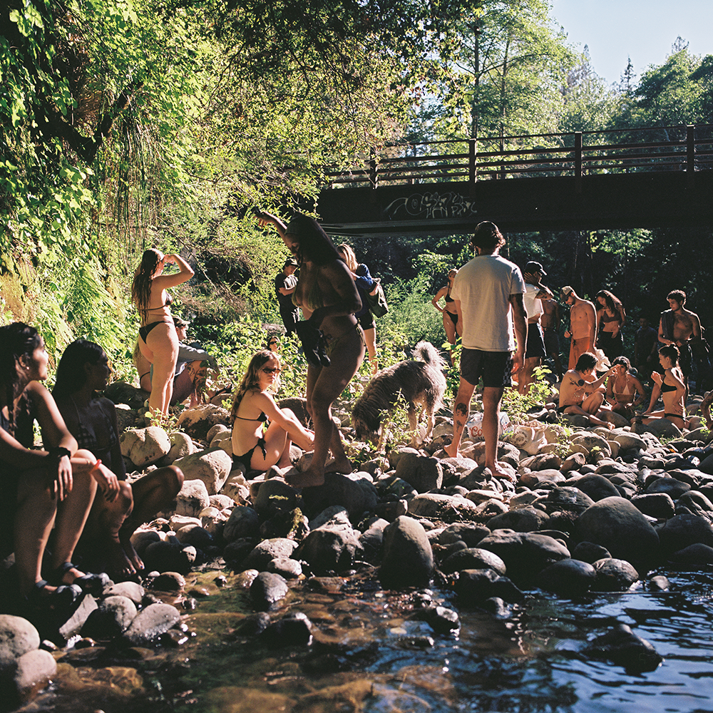 A decorative image from Usal Project