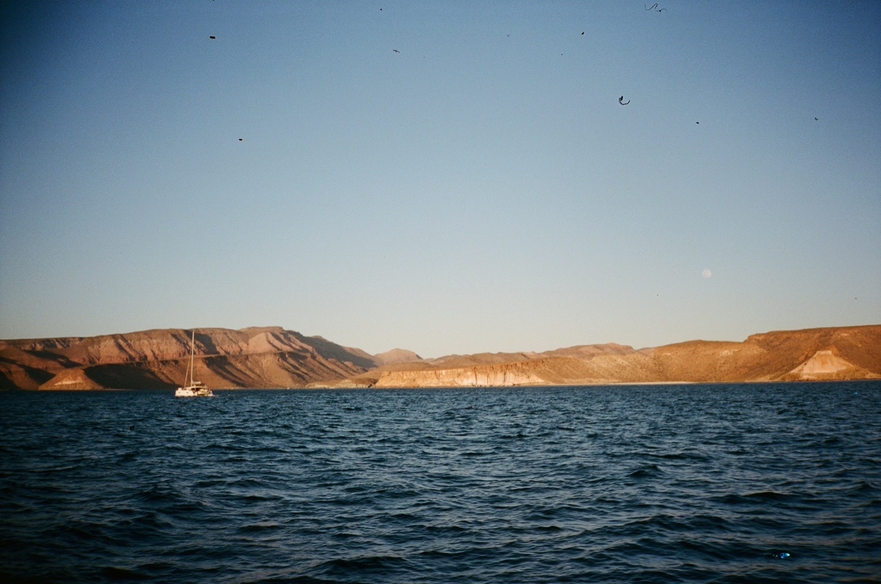 A decorative image from Usal Project