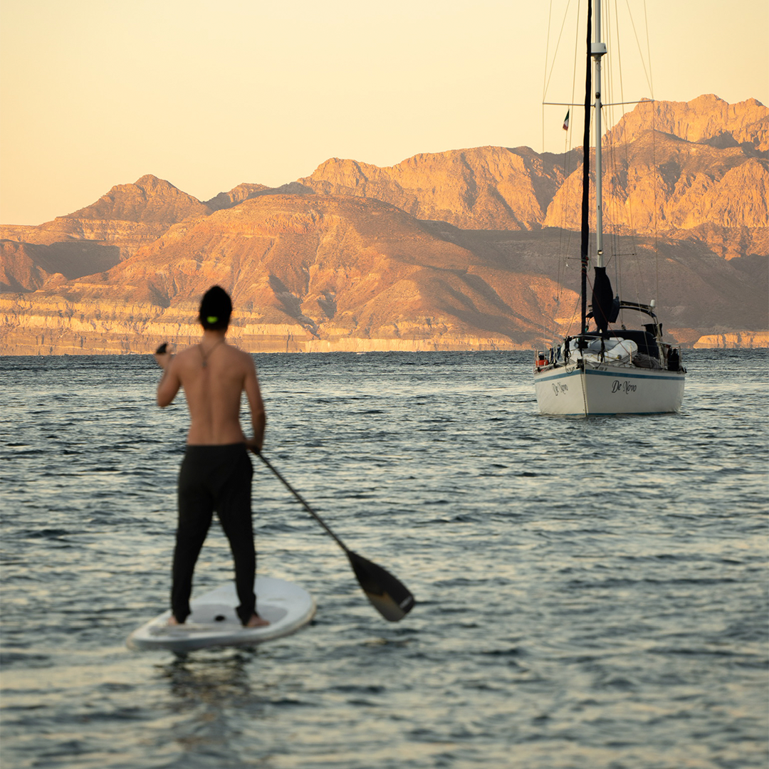 A decorative image from Usal Project