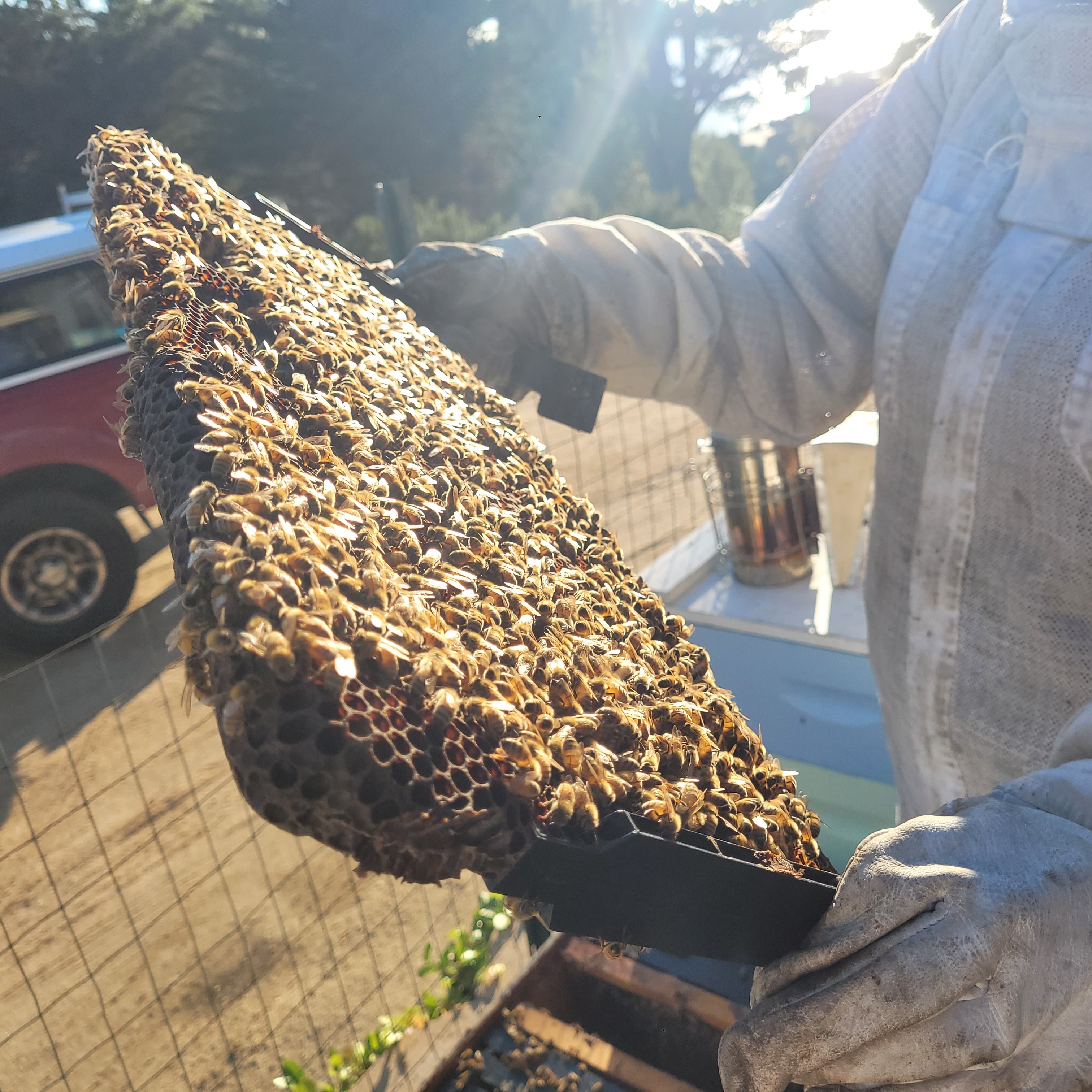 A decorative image from Usal Project