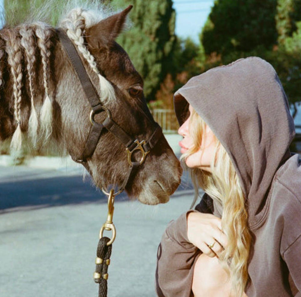 A decorative image from Usal Project