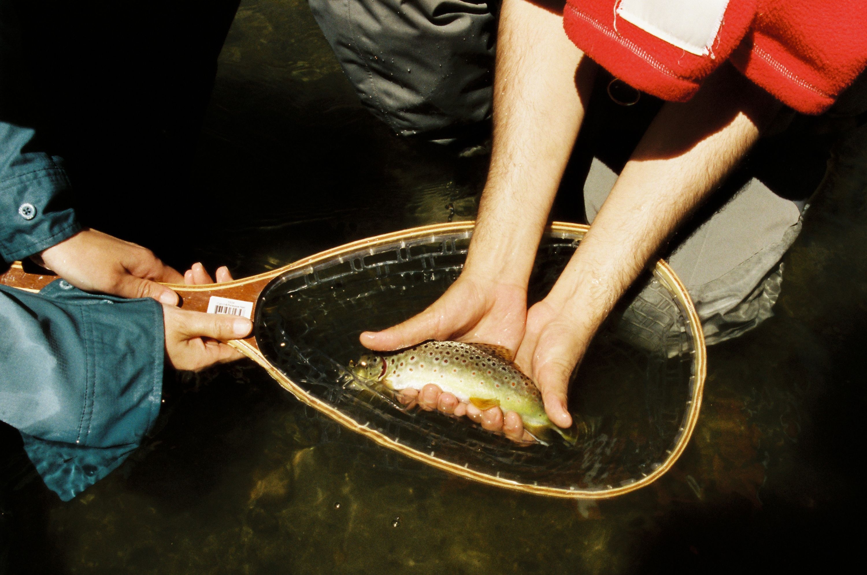 A decorative image from Usal Project