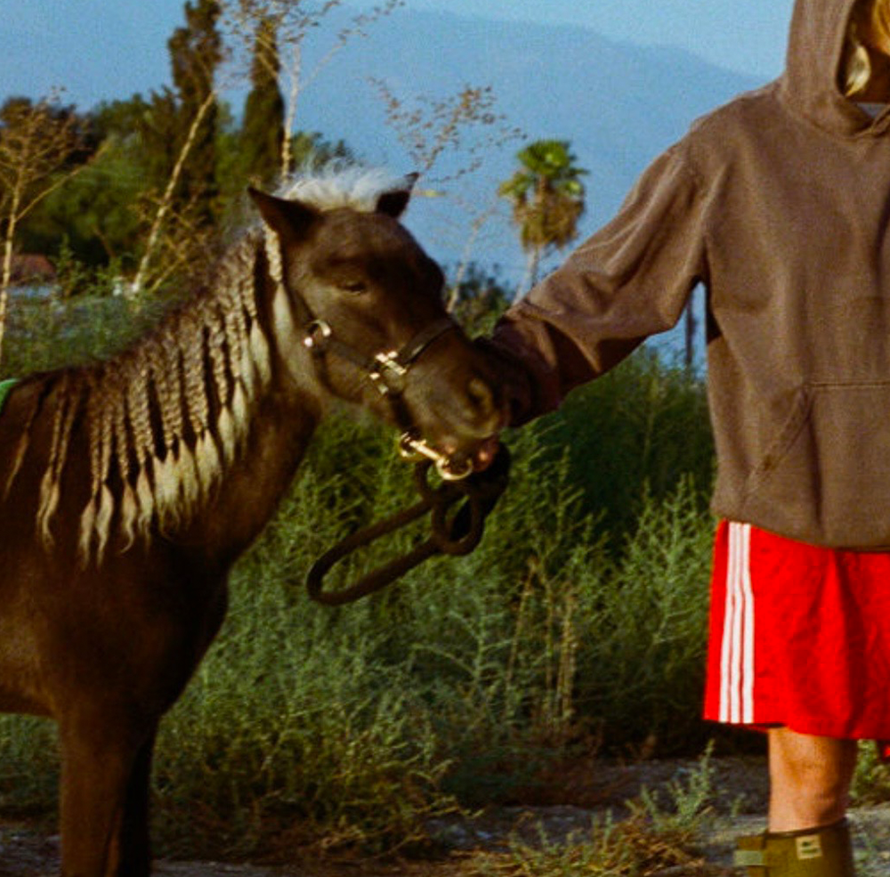 A decorative image from Usal Project