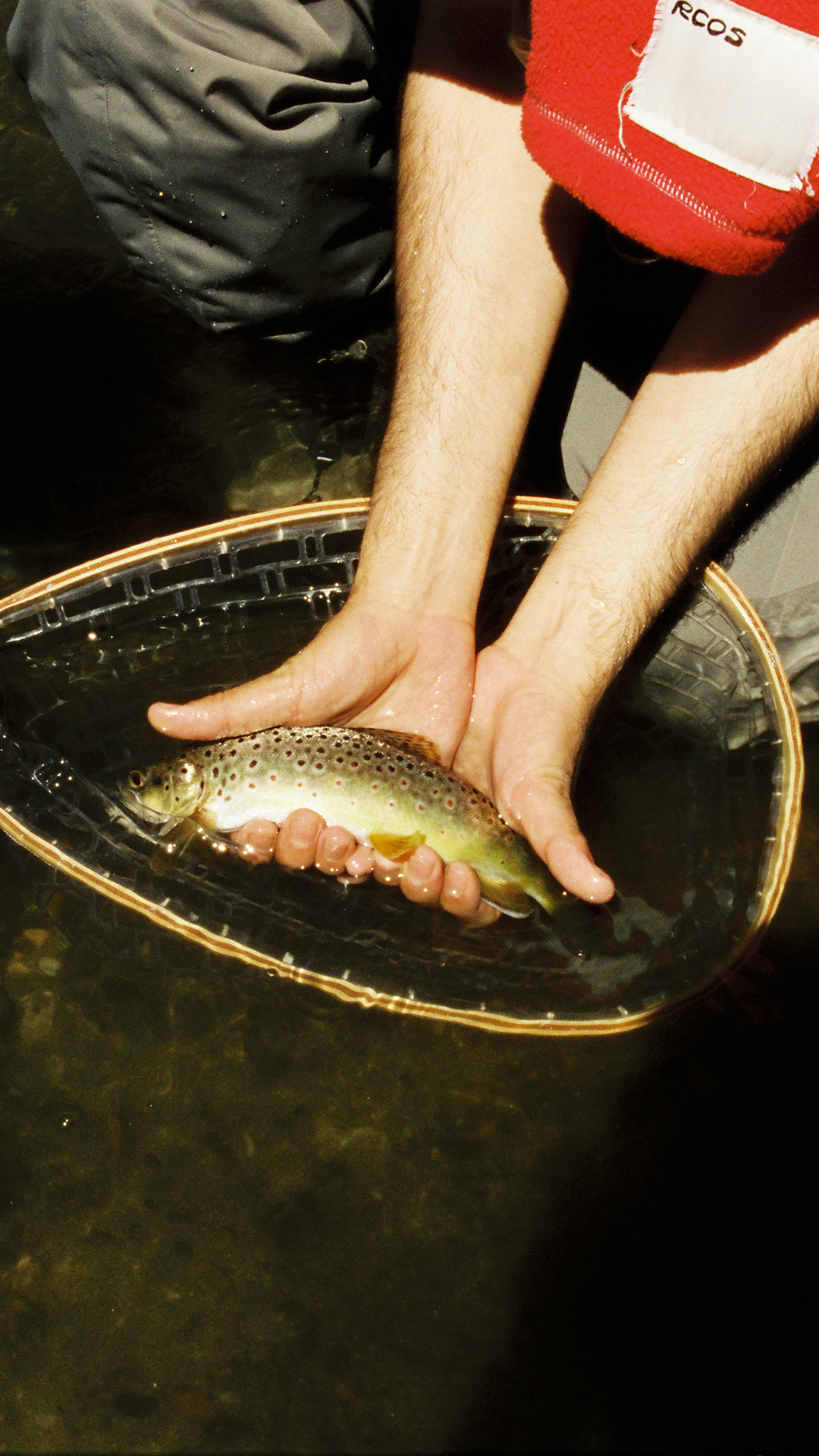 Hero Poster Mobile - A decorative image from Usal Project