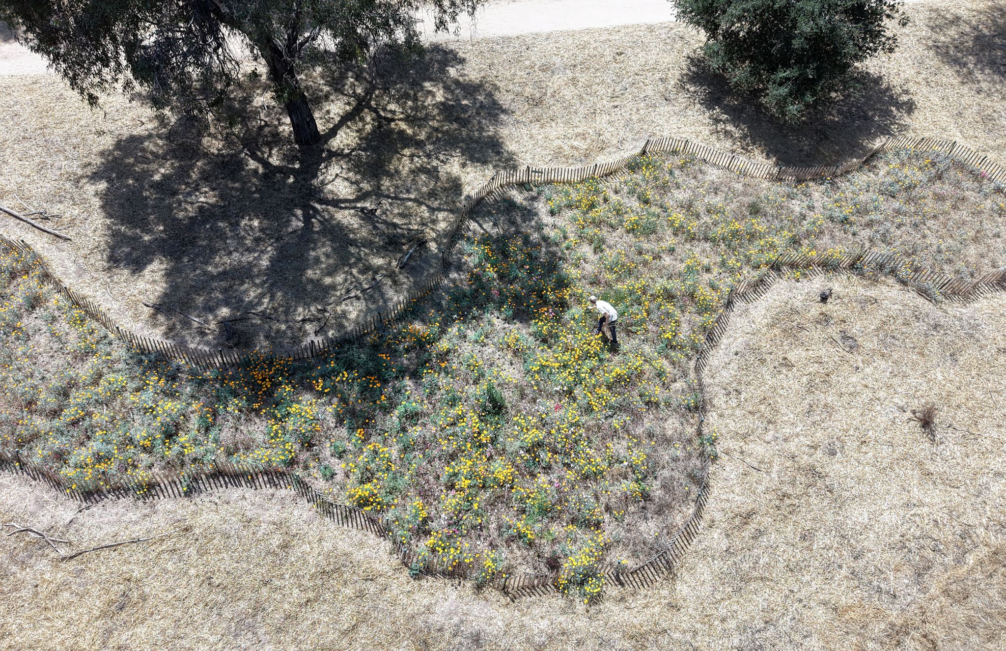 A decorative image from Usal Project
