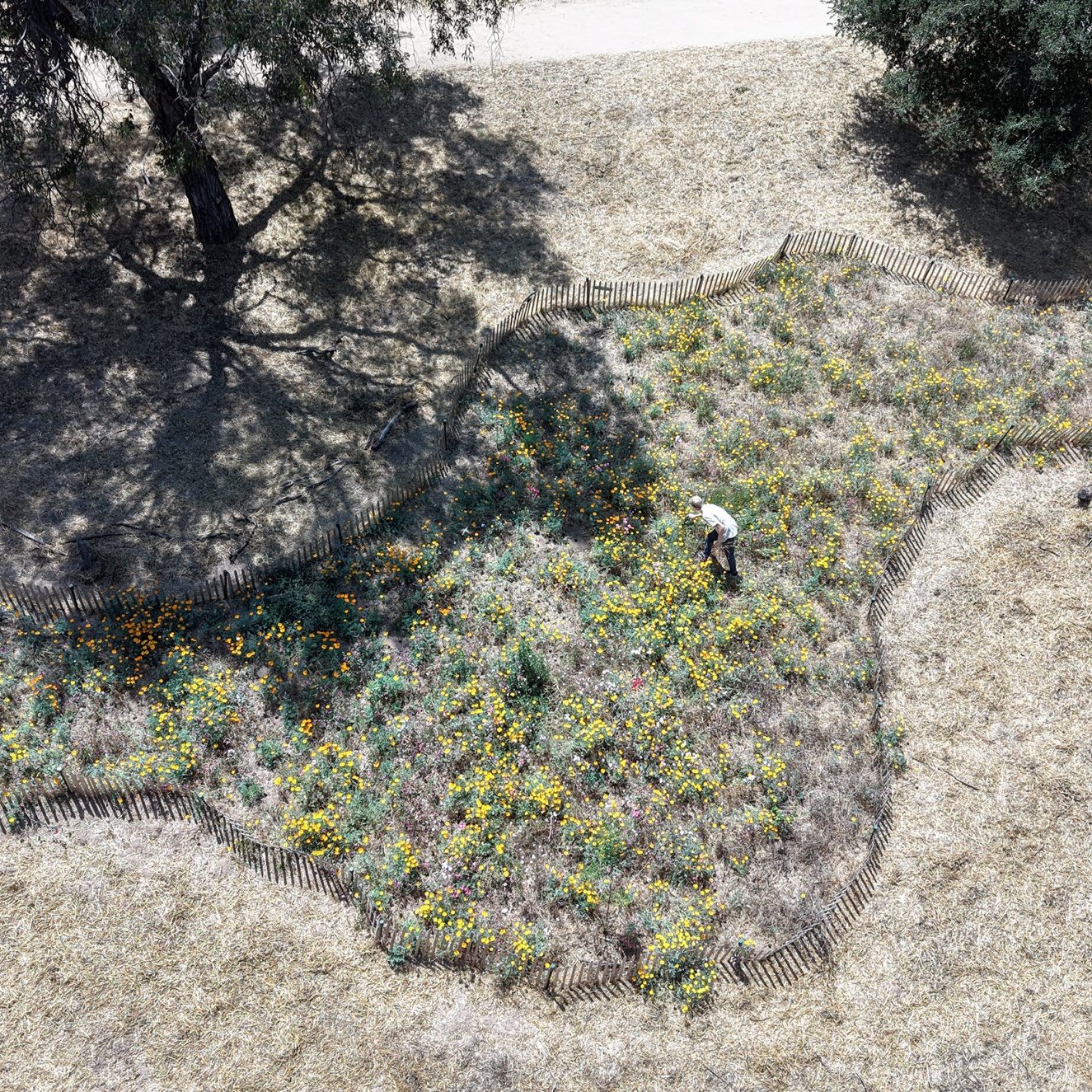 A decorative image from Usal Project