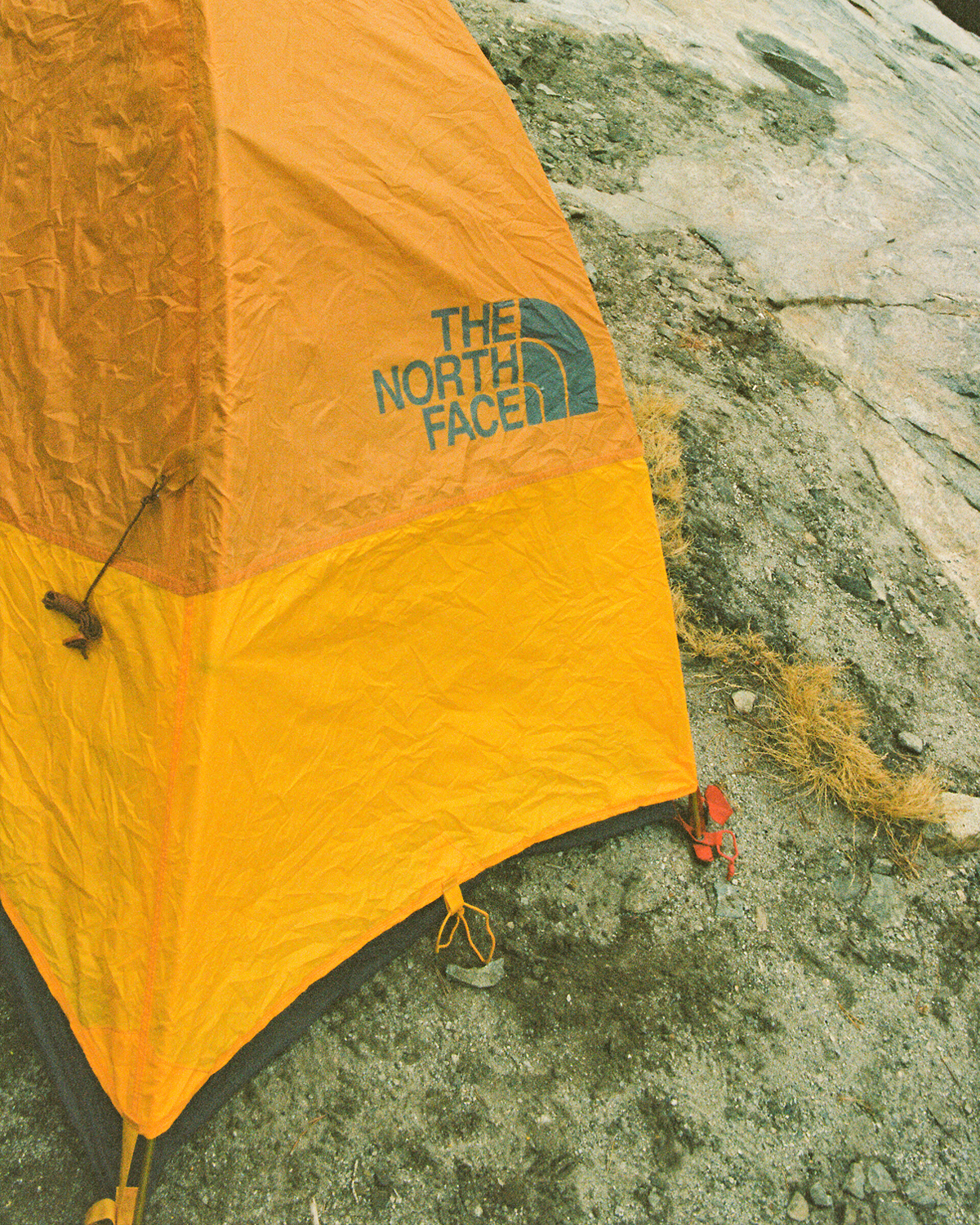 A decorative image from Usal Project