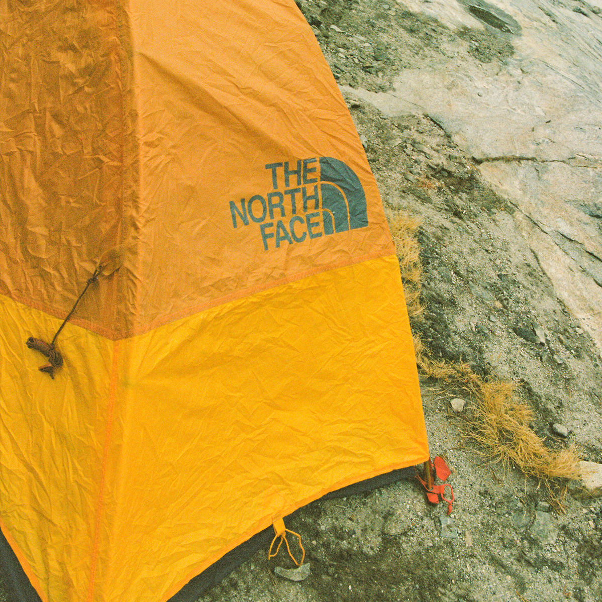 A decorative image from Usal Project