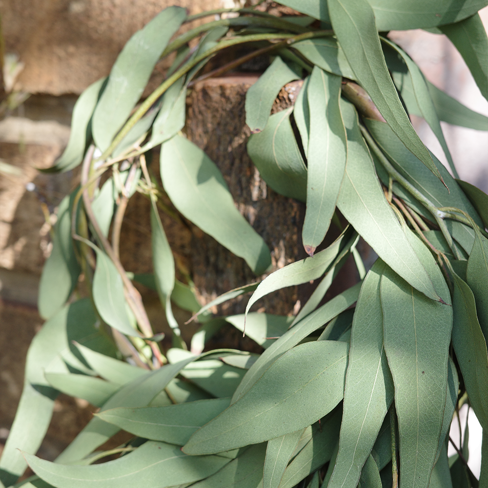 A decorative image from Usal Project