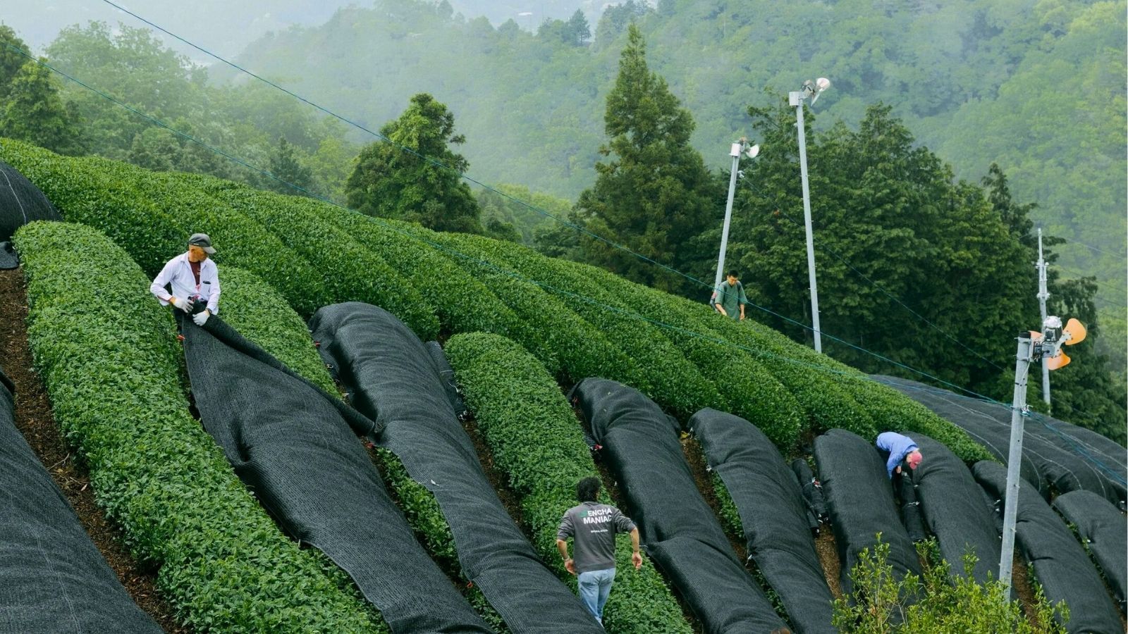 Hero Poster - A decorative image from Usal Project