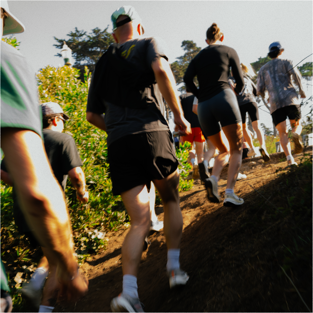 A decorative image from Usal Project