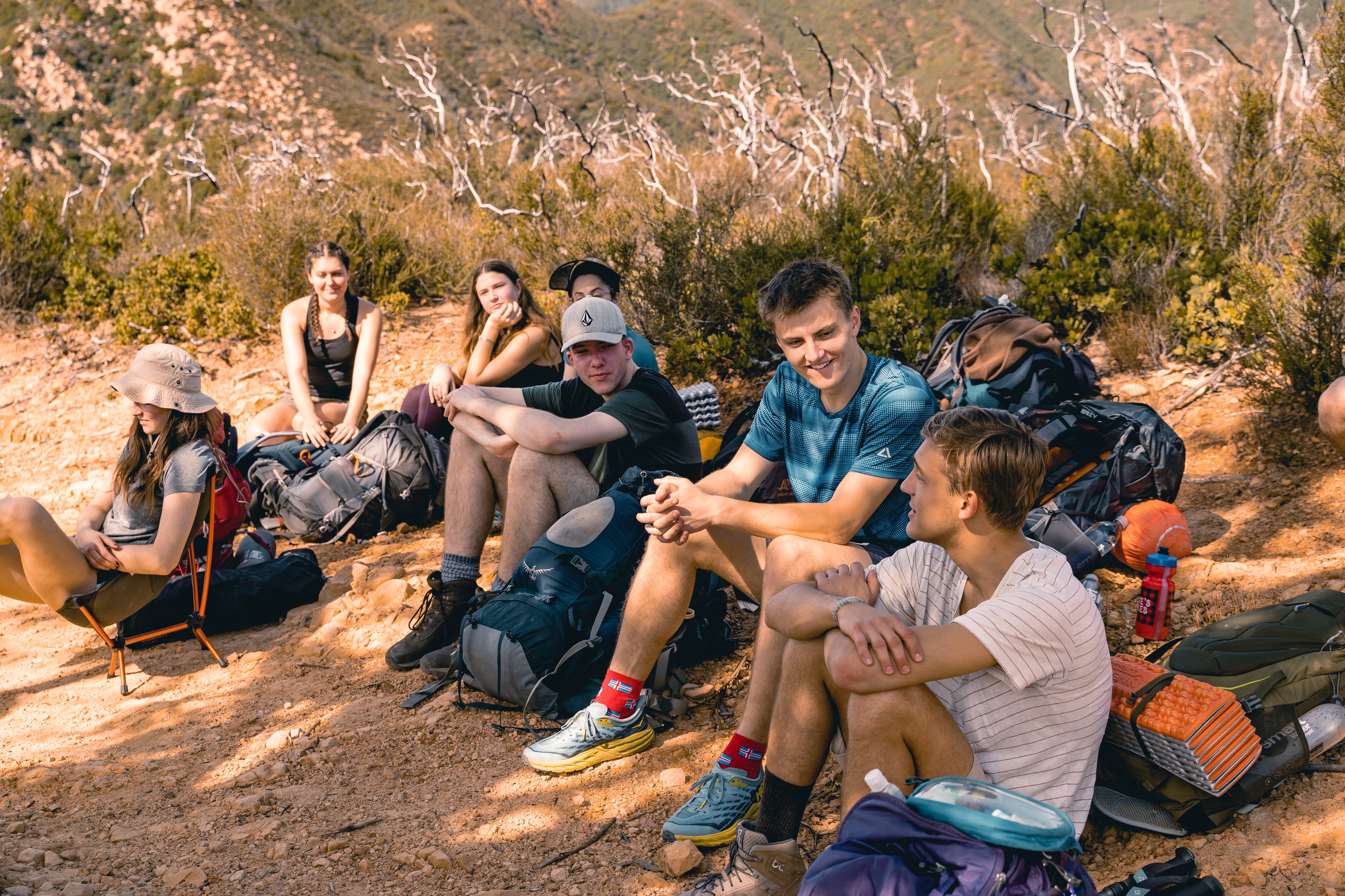 A decorative image from Usal Project