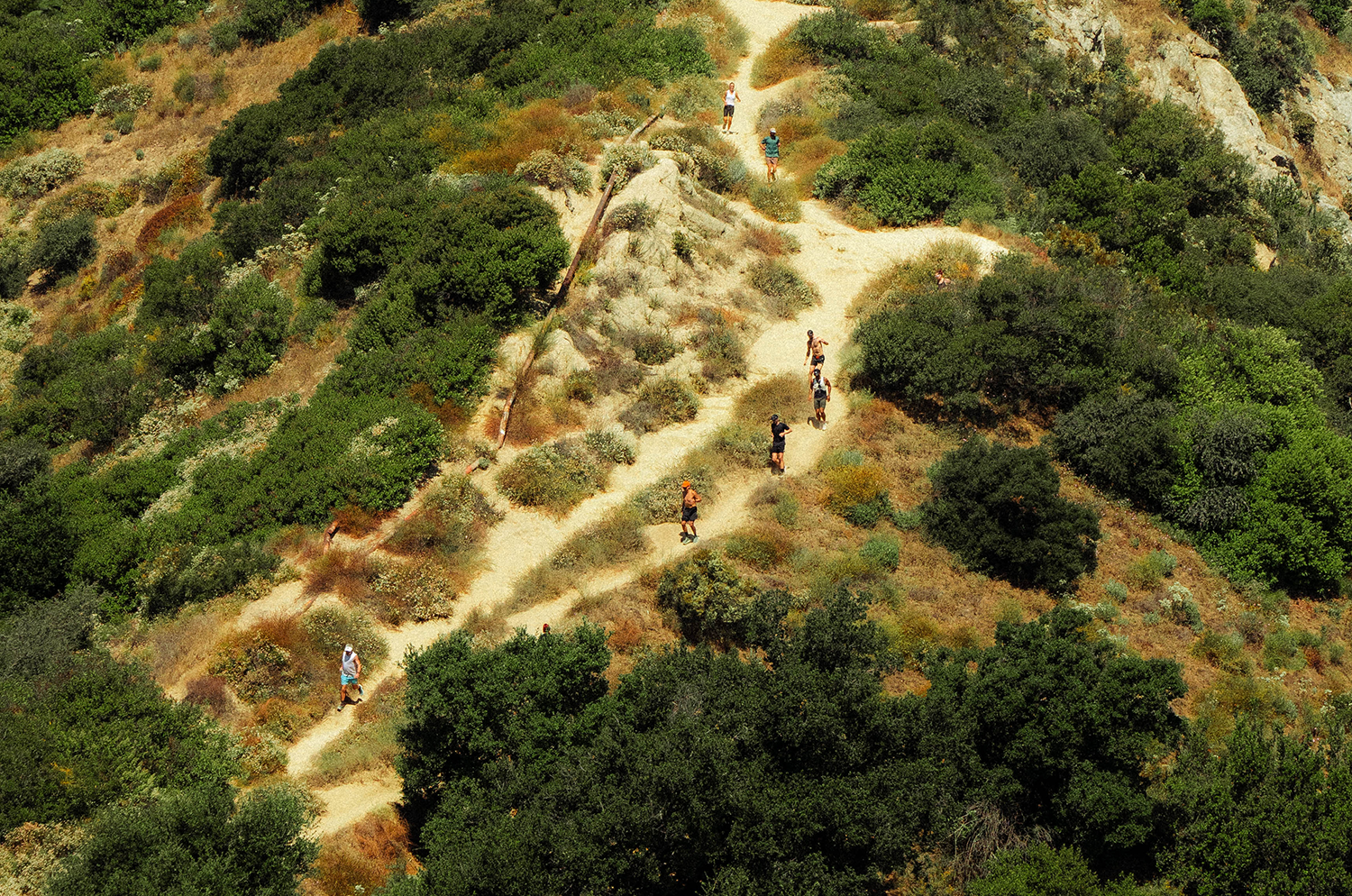 A decorative image from Usal Project