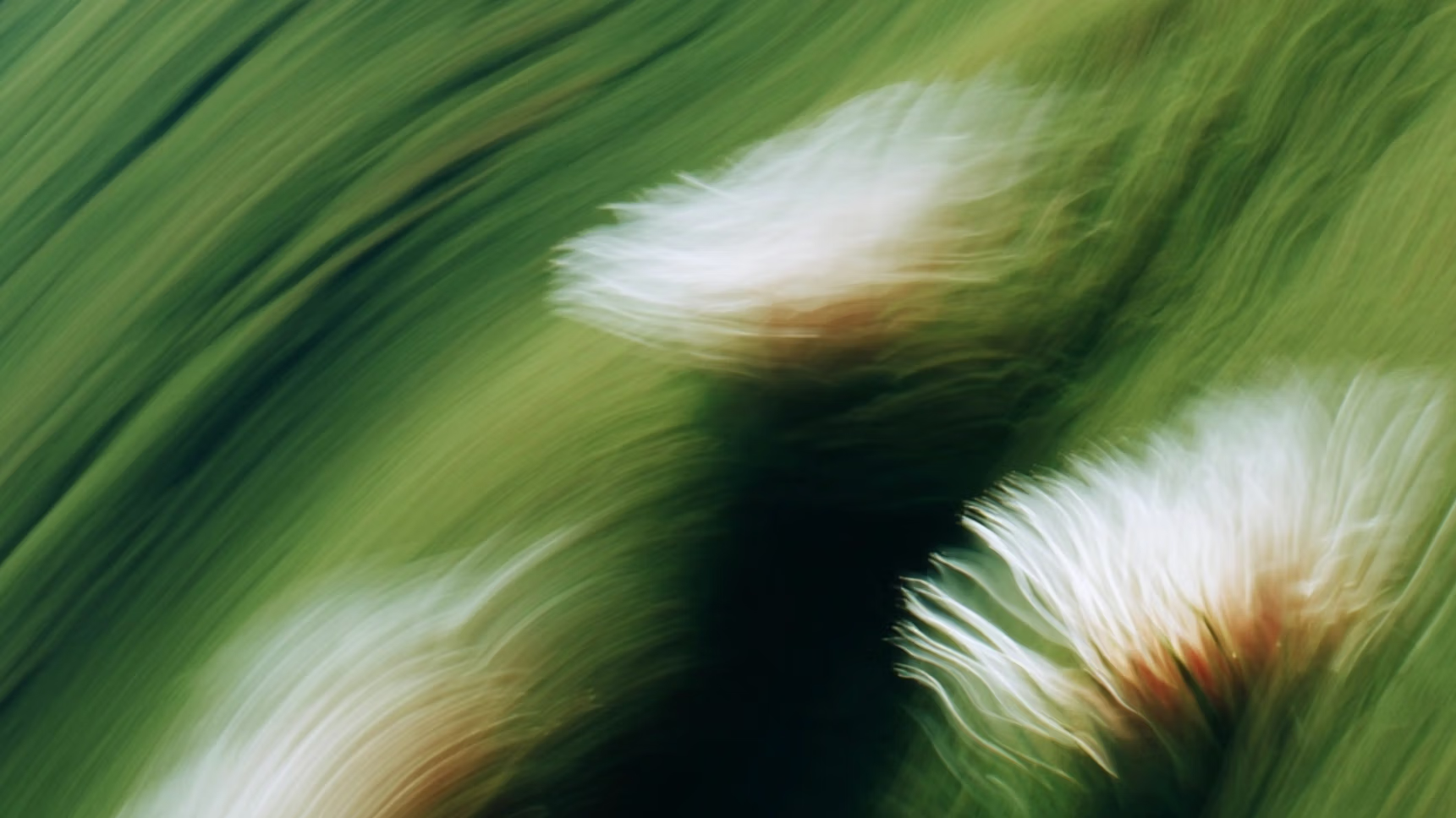 Hero Poster - A decorative image from Usal Project