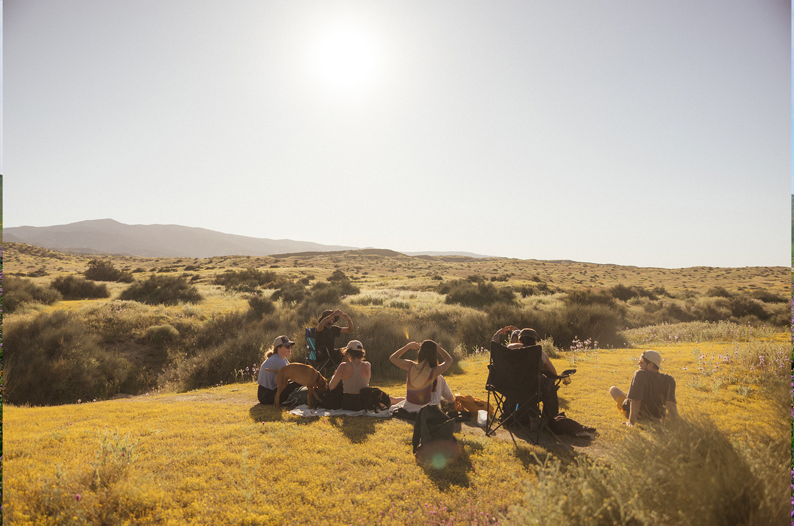 A decorative image from Usal Project