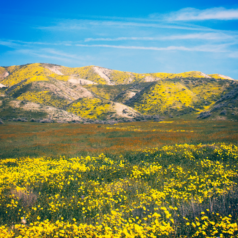 Hero Poster - A decorative image from Usal Project