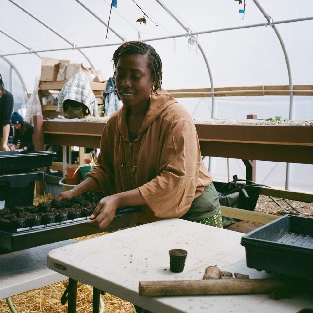 A decorative image from Usal Project