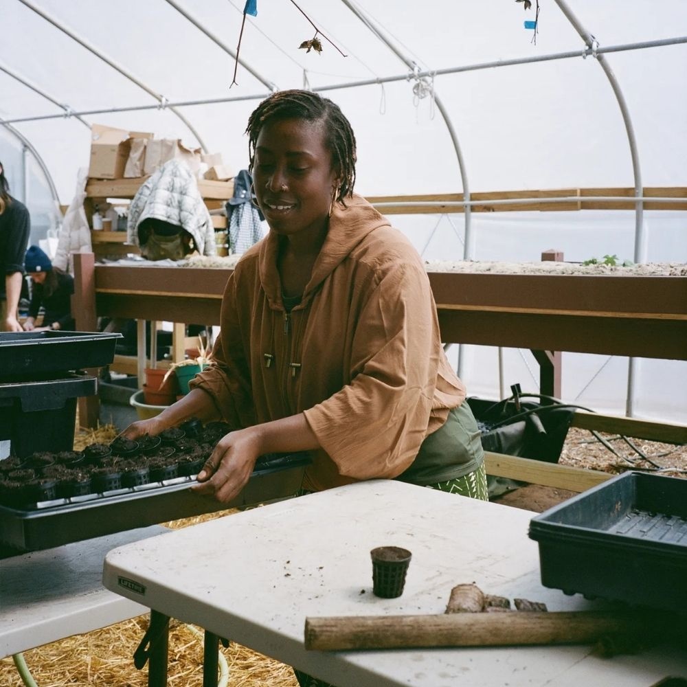 A decorative image from Usal Project