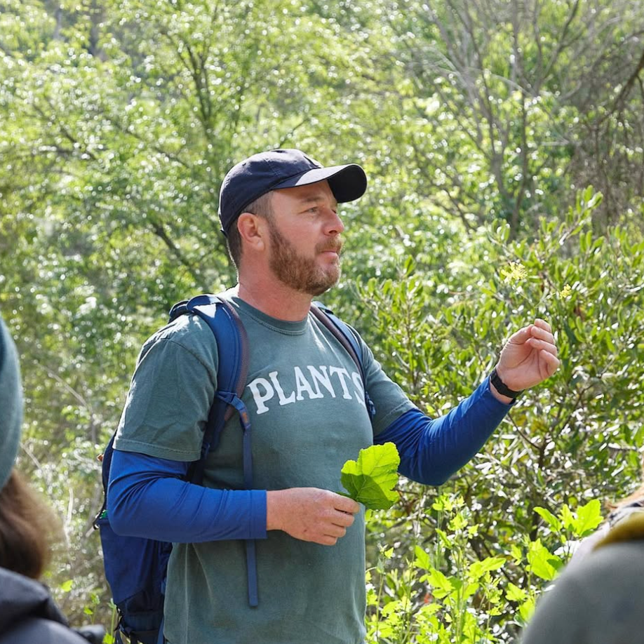 A decorative image from Usal Project