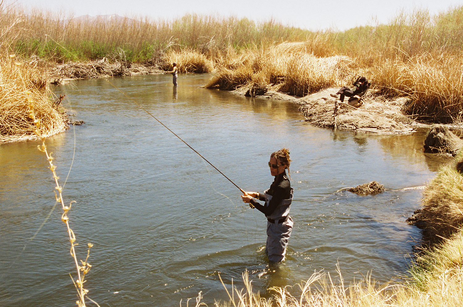 A decorative image from Usal Project