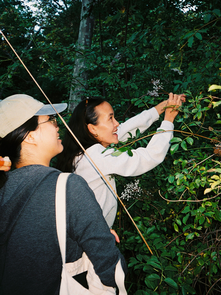 A decorative image from Usal Project