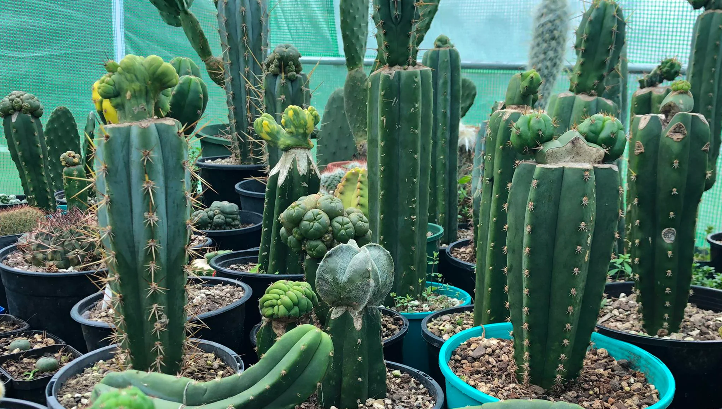 Hero Poster - A decorative image from Usal Project