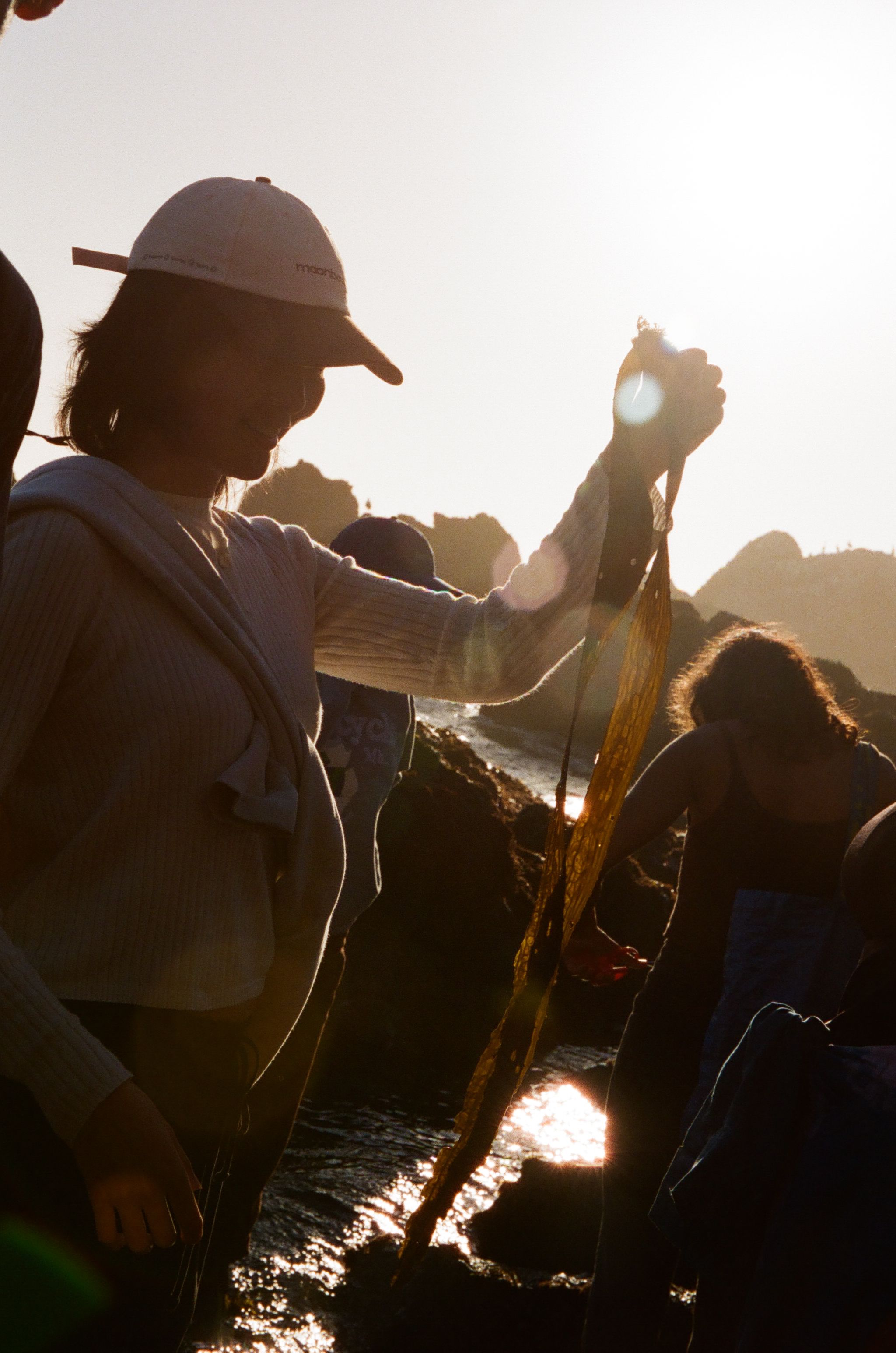 A decorative image from Usal Project