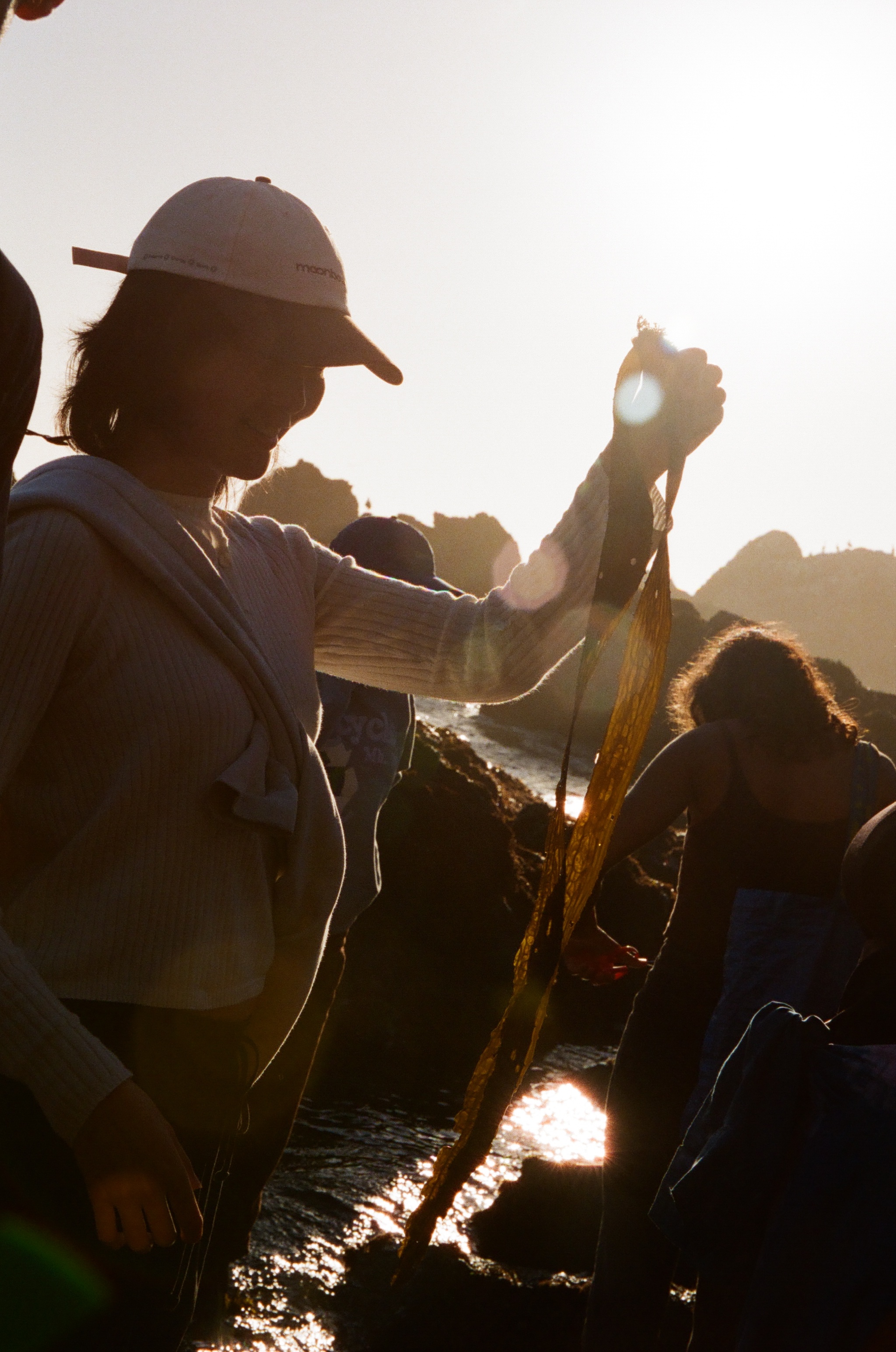 A decorative image from Usal Project