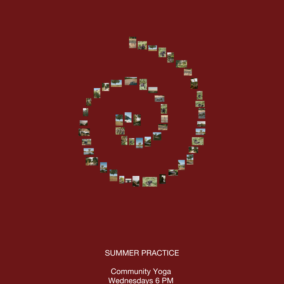 A decorative image from Usal Project
