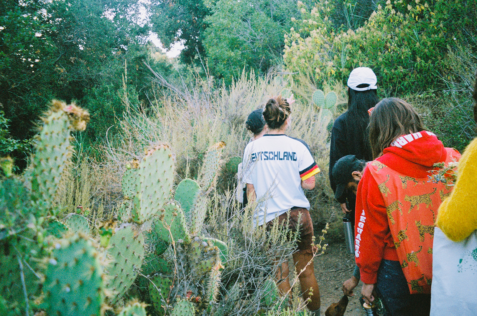 A decorative image from Usal Project