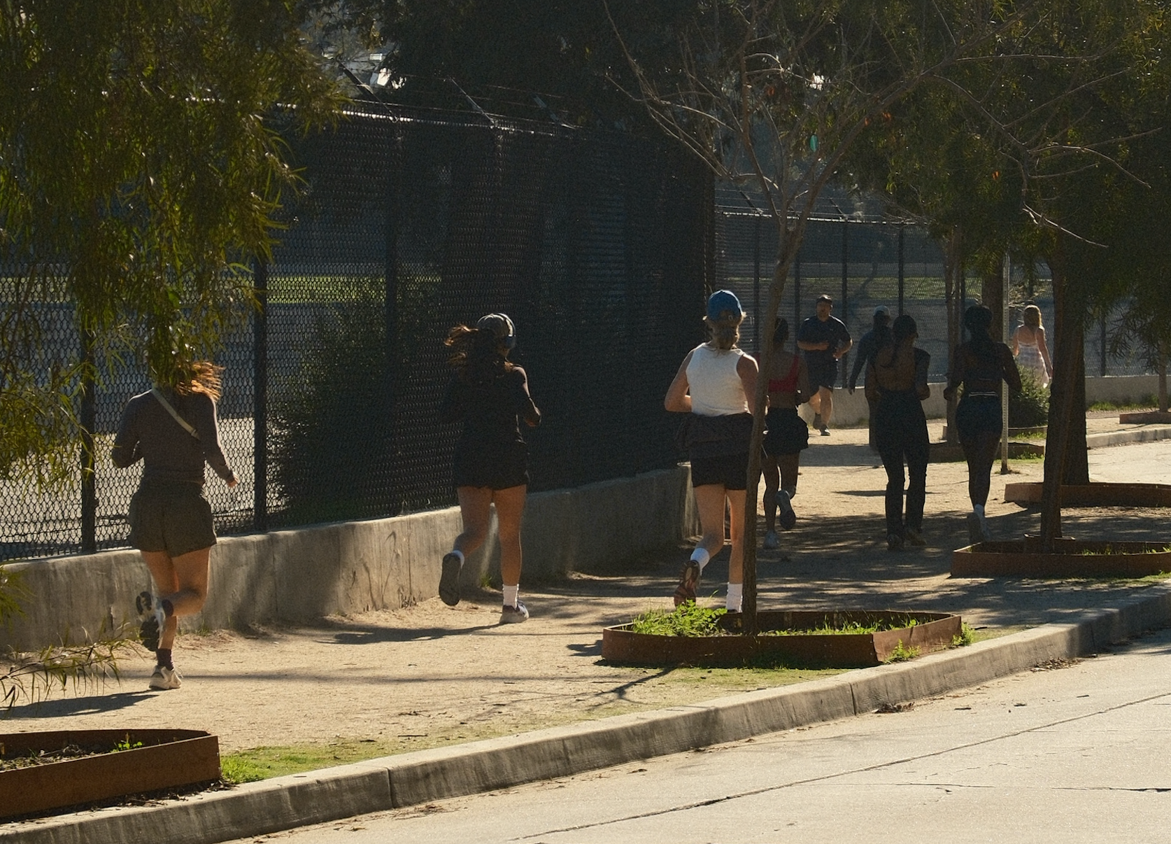 A decorative image from Usal Project