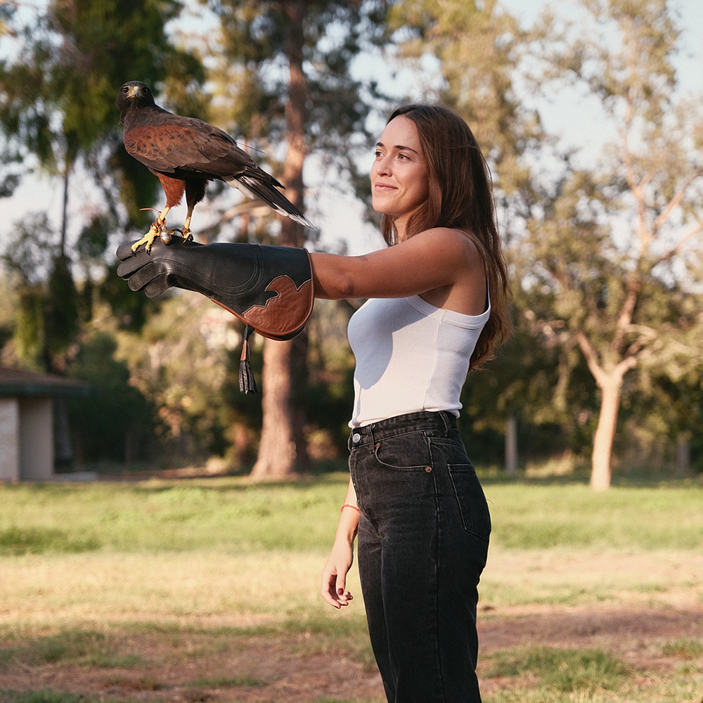 A decorative image from Usal Project