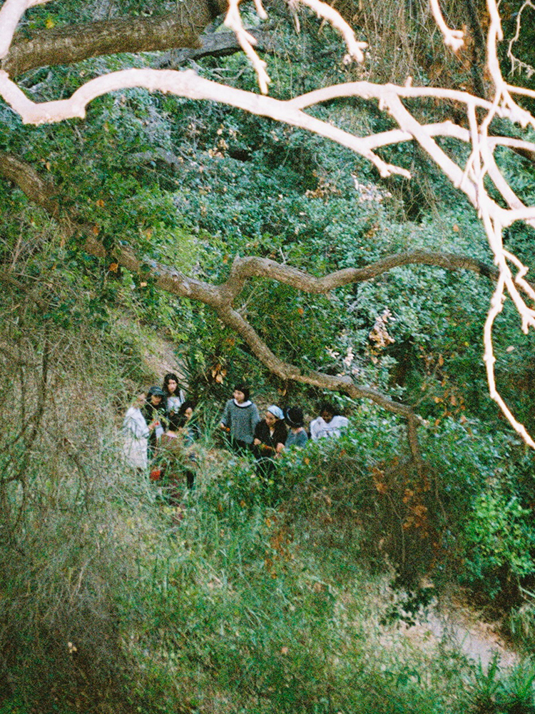 A decorative image from Usal Project